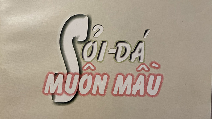 Sỏi Đá Muôn Màu